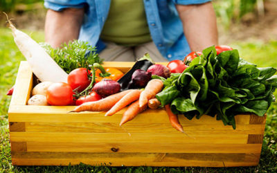 Alimentos Orgânicos: O que são e Quais Seus Benefícios Para Nossa Saúde