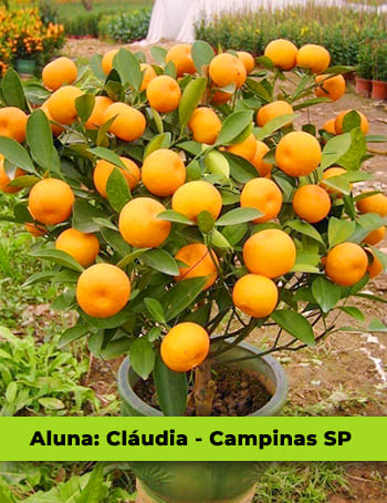 Aluna Claudia
