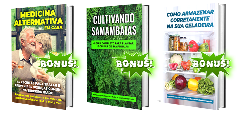 Bonus-Horta-em-Vasos