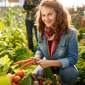 Cristina Reis Cristina Reis