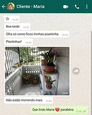 Depoimento Maria