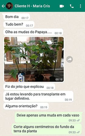 Depoimento Patricia