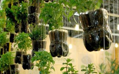 Horta em Casas Pequenas: Faça a Sua Agora Mesmo com essas Dicas e Inspirações